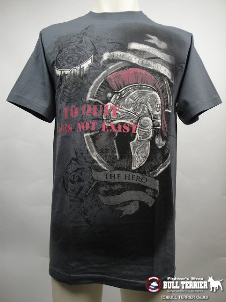 Photo1: TAPOUT T-shirts ALESSIO SAKURA Grey (1)