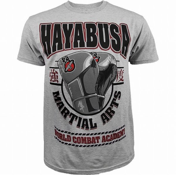 Photo1: Hayabusa　Tshirts　Academy　Grey (1)