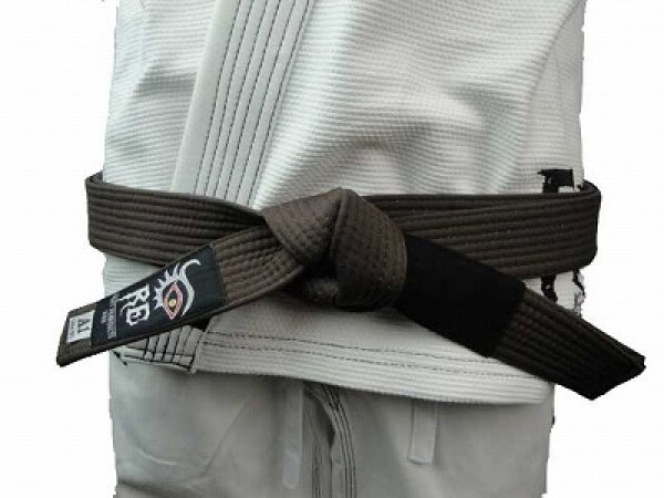 Photo1: RE FIGHT　Jiu Jitsu Belt Brown (1)