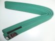 Photo2: BULLTERRIER Jiu Jitsu NEW Belt Green (2)