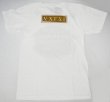 Photo2: VXRSI T-shirt Champ White (2)