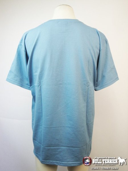 Photo2: NO GI T-Shirts Vines Aqua  SALE (2)