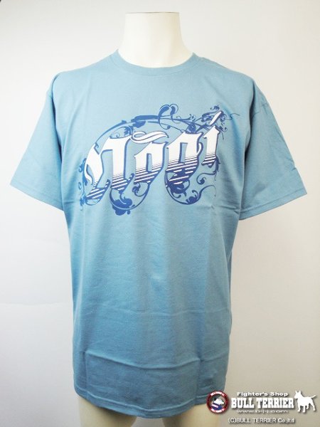 Photo1: NO GI T-Shirts Vines Aqua (1)