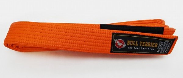 Photo1: BULLTERRIER Jiu Jitsu Belt Orange (1)