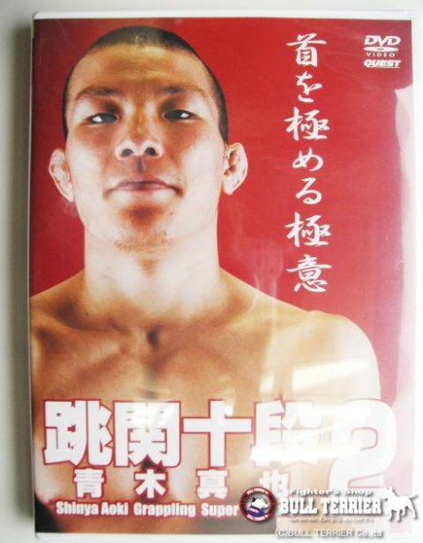 Photo1: DVD Flying Submission Master - Shinya Aoki Vol.2 (1)