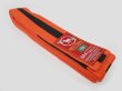 Photo2: BULLTERRIER  Jiu Jitsu Belt   Orange/Black (2)