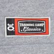 Photo3: Jaco T-shirt TCC - Blackzilians Lion (Grey) (3)