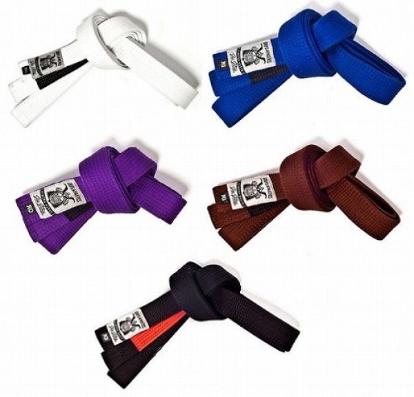 Photo1: Grips Jiu-jitsu Belt NEW (1)