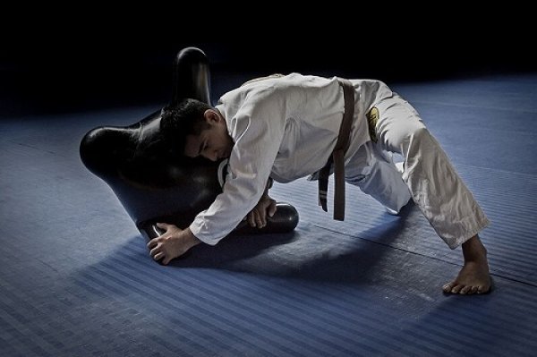 Photo3: Combat X Trainer　Training Ball (3)