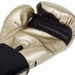 Photo3: VENUM Boxing gloves CHALLENGER 2.0 Gold (3)
