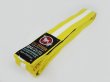 Photo2: BULLTERRIER Jiu Jitsu Belt Yellow/White (2)