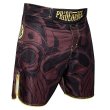 Photo3: PRIDE or DIE Fight Shorts BROTHERHOOD Brown (3)