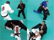 Photo5: BULL TERRIER Jiu-jitsu gis for 12 inch figures (5)