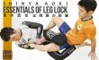 Photo3: DVD Shinya Aoki ESSENTIALS OF LEG LOCK  (3)