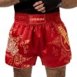 Photo3: Hayabusa Muay Thai shorts FALCON Red (3)