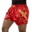 Photo1: Hayabusa Muay Thai shorts FALCON Red (1)
