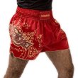 Photo2: Hayabusa Muay Thai shorts FALCON Red (2)
