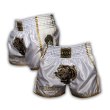 Photo1: PRIDE or DIE Muay Thai Shorts UNLEASHED White (1)