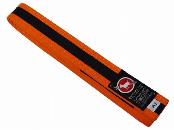 Photo1: BULLTERRIER Jiu Jitsu Belt 2.0 Orange / Black (1)