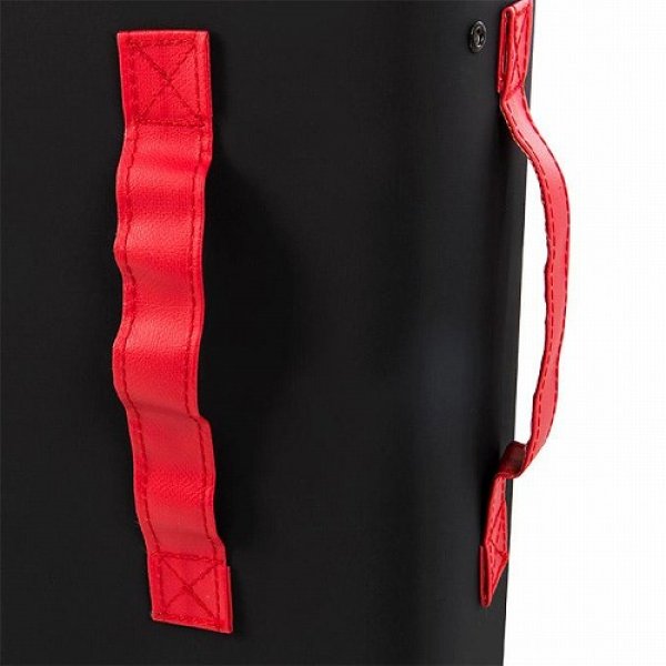 Photo3: UFC Multi-Strike Shield Black (3)