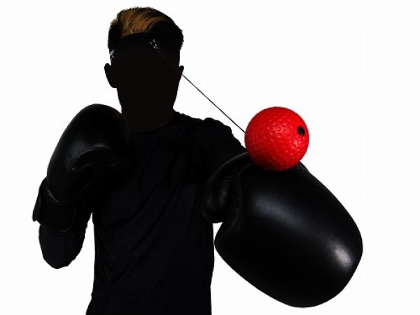 Photo1: BULLTERRIER Boxing Punching Reflex Ball (1)