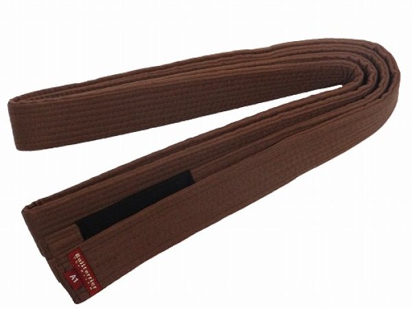 Photo1: BULLTERRIER Jiu Jitsu Belt BASIC Brown (1)