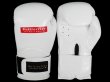 Photo1: BULL TERRIER Boxing Gloves BASIC White (1)