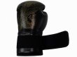 Photo6: BULL TERRIER Boxing Gloves HOUOU Black (6)