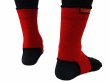 Photo2: BULL TERRIER Ankle Support Red (2)