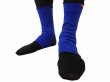 Photo1: BULL TERRIER Ankle Support Blue (1)