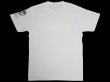 Photo2: BULL TERRIER T-Shirt BASIC White (2)