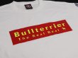 Photo3: BULL TERRIER T-Shirt BASIC White (3)