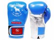 Photo1: BULLTERRIER Boxing Glove CLASSIC Blue (1)