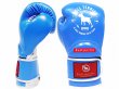 Photo2: BULLTERRIER Boxing Glove CLASSIC Blue (2)