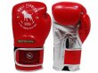 Photo1: BULLTERRIER Boxing Glove CLASSIC Red (1)