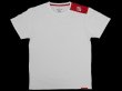 Photo3: BULL TERRIER T-Shirt PATCH White (3)