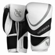 Photo1: HAYABUSA Boxing Gloves H5 White/Gray (1)