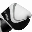 Photo2: HAYABUSA Boxing Gloves H5 White/Gray (2)