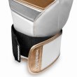 Photo2: HAYABUSA Boxing Gloves T3 White/Gold (2)