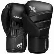 Photo1: HAYABUSA Boxing Gloves T3 Black (1)