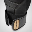 Photo2: HAYABUSA Boxing Gloves T3 Black/Gold (2)