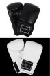 Photo1: BULL TERRIER Punching Glove  (1)