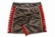Photo5: BULL TERRIER Fight Shorts RANK Brown (5)