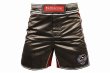 Photo1: BULL TERRIER Fight Shorts RANK Brown (1)