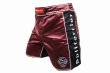 Photo2: BULL TERRIER Fight Shorts RANK Purple  (2)