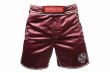 Photo1: BULL TERRIER Fight Shorts RANK Purple  (1)