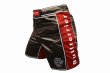 Photo2: BULL TERRIER Fight Shorts RANK Brown (2)