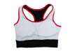 Photo8: BULL TERRIER Ladies Bra Top Black/Pink (8)