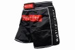 Photo2: BULL TERRIER Ladies Fight Shorts FMN Black (2)