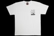 Photo1: BULL TERRIER Kleber Koike SIGNATURE T-Shirts White (1)